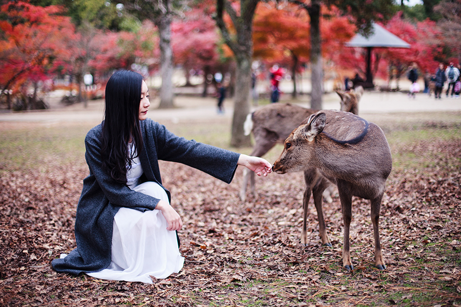 Sitting with a deer at Nara Park, Japan.