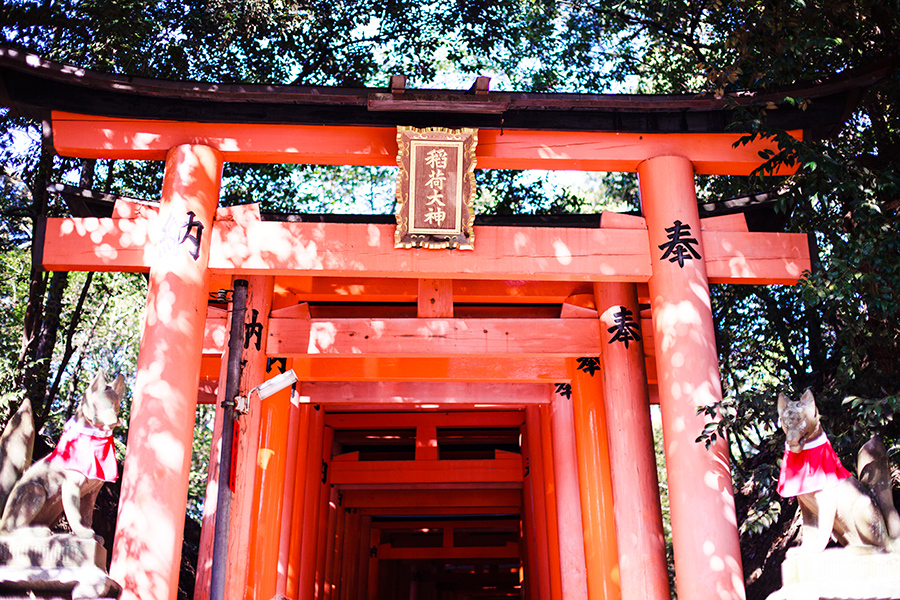Torii at Fushimi Inari in Kyoto, Japan.