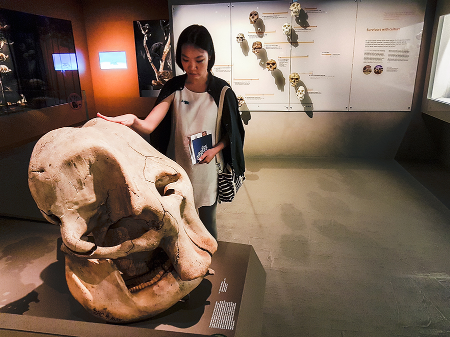 PX touching an interactive elephant skull at Lee Kong Chian Natural History Museum.