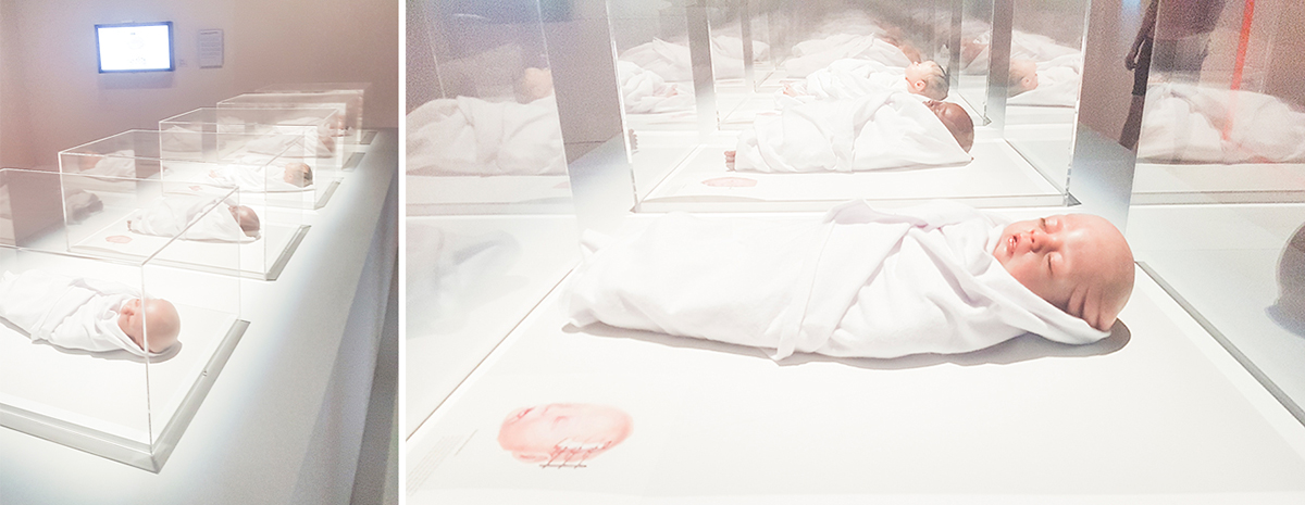 Transfigurations by Agatha Haines at the HUMAN+ The Future of Our Species exhibition, ArtScience Museum Singapore.