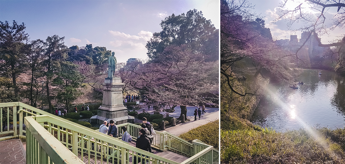 Chiyoda Park in spring: cherry blossom season.