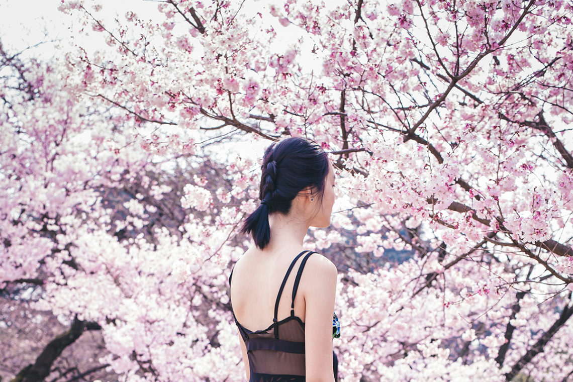 #OOTD at æ–°å®¿å¾¡è‹‘æ¡œ Cherry Blossoms in Shinjuku Gyoen.