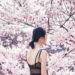 #OOTD at 新宿御苑桜 Cherry Blossoms in Shinjuku Gyoen.