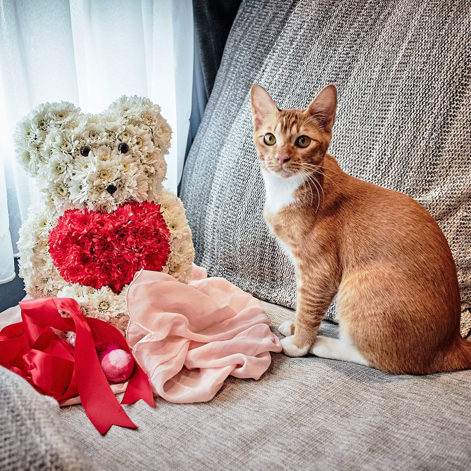 Kitty Teh and Mr. Crush Teddy Bear Bouquet from Little Flower Hut